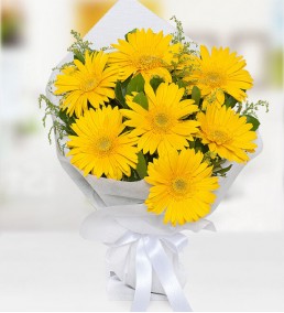 Gerbera Buketi 1
