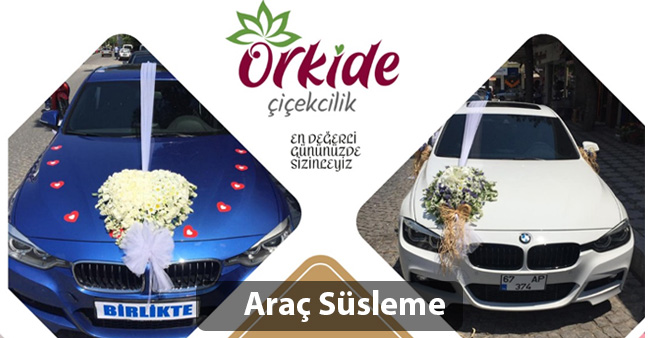 Doğum Günü
